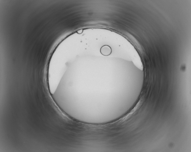 X0000116261196201001110947