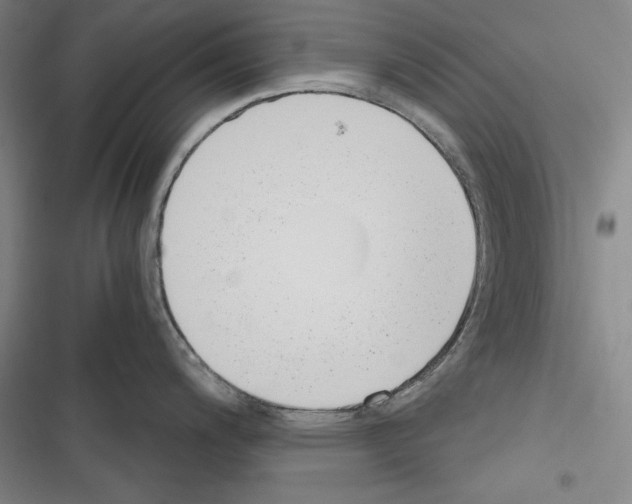 X0000116261200201001110947