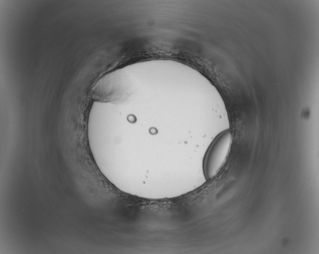 X0000116261201201001110946