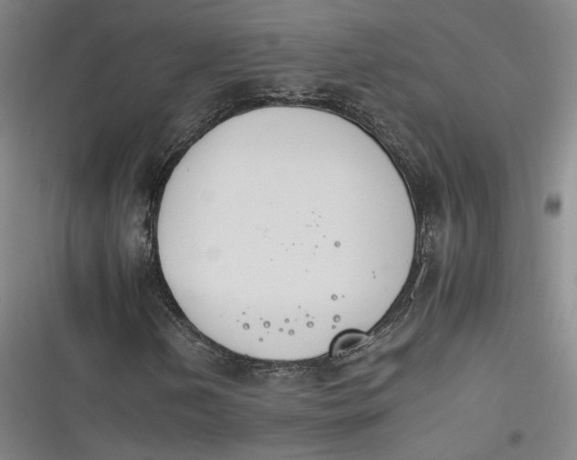 X0000116261202201001110946