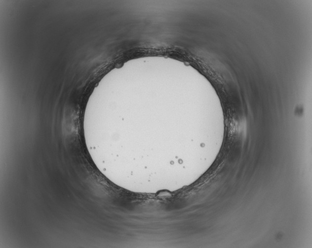 X0000116261204201001110946