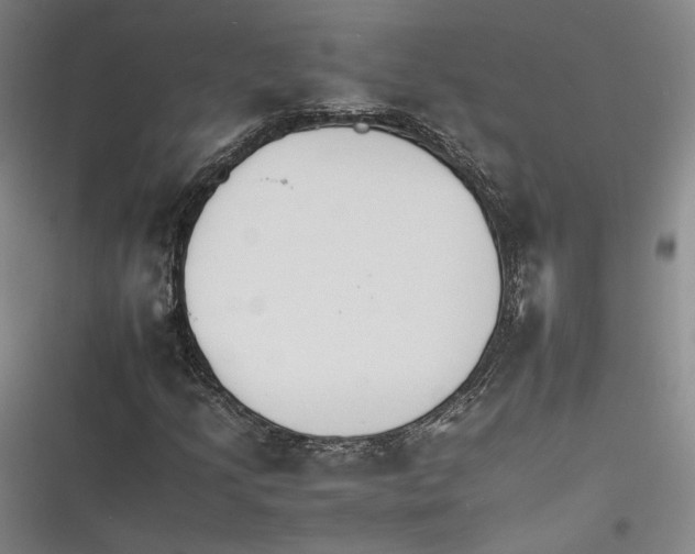 X0000116261205201001110946