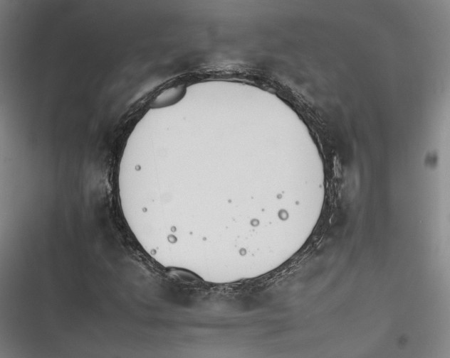 X0000116261206201001110946