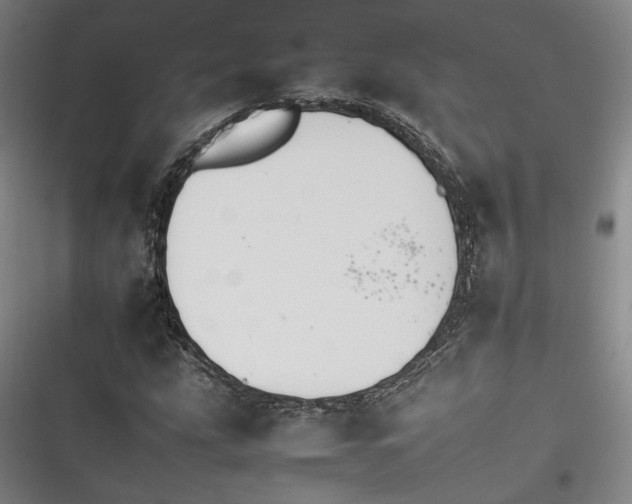X0000116261207201001110946