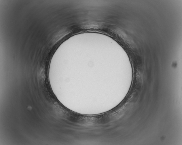 X0000116261209201001110946