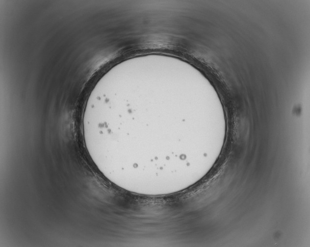 X0000116261210201001110946