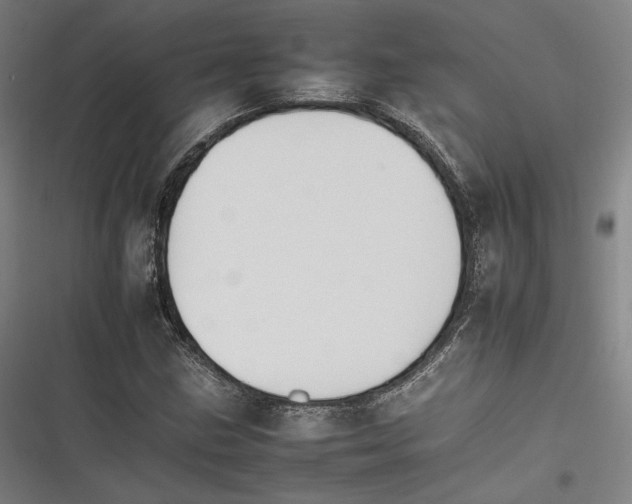 X0000116261211201001110946