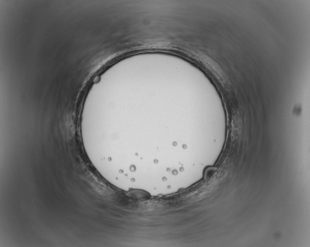 X0000116261212201001110946