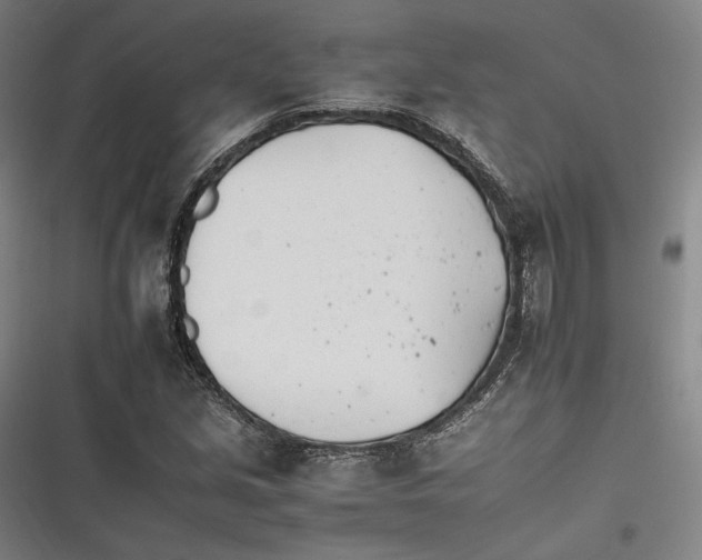 X0000116261213201001110946
