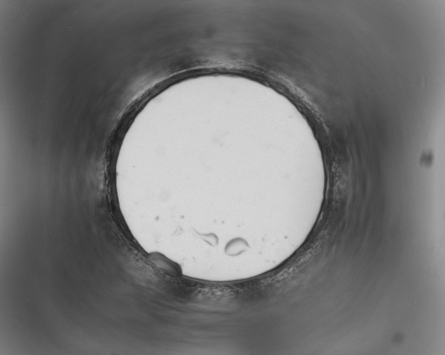 X0000116261215201001110946