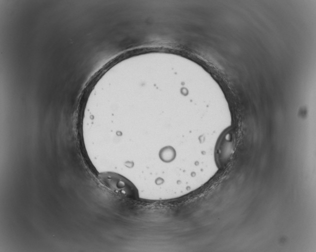 X0000116261216201001110946