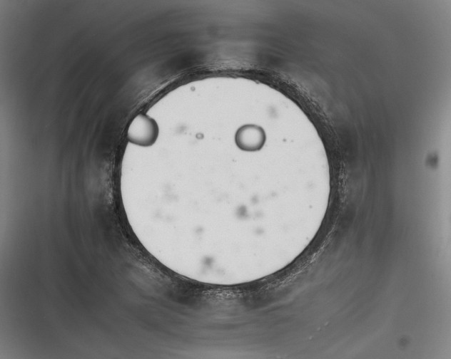 X0000116261217201001110946