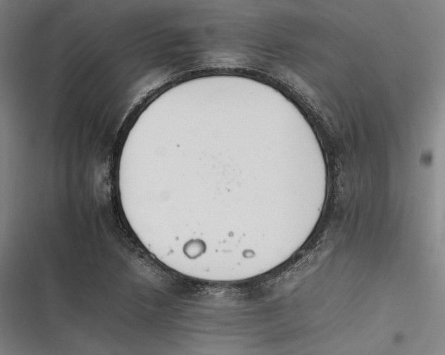 X0000116261218201001110946