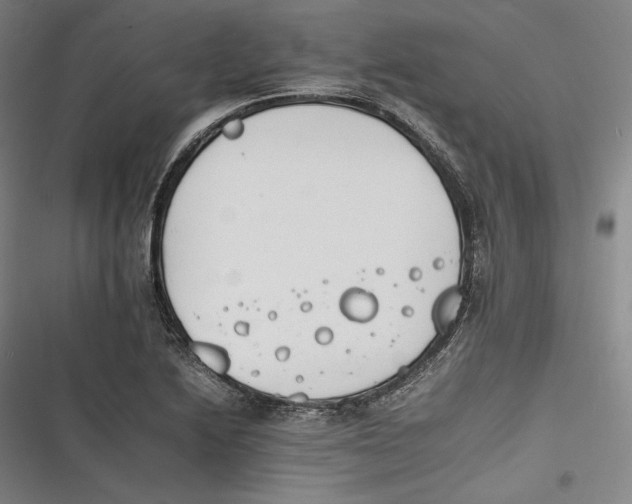 X0000116261222201001110946