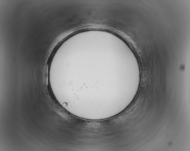 X0000116261223201001110946