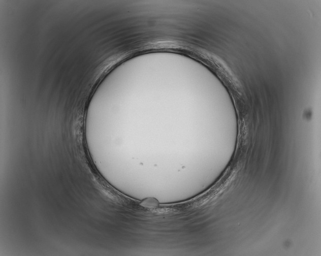 X0000116261225201001110946