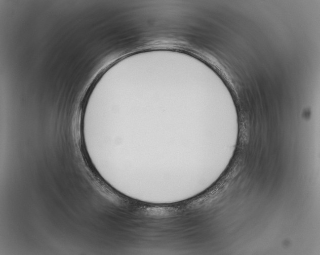 X0000116261227201001110946