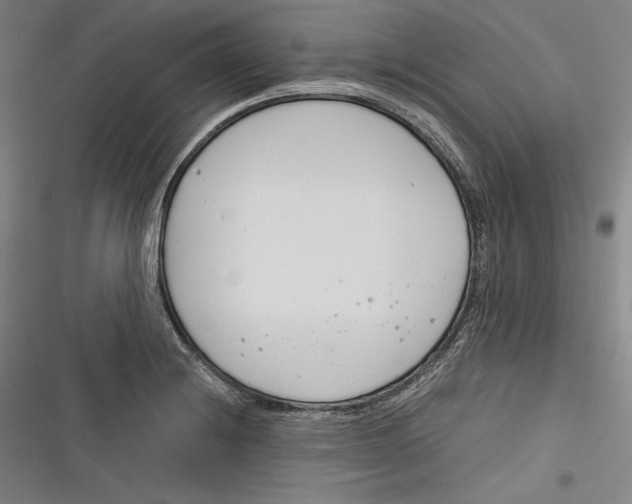 X0000116261228201001110946