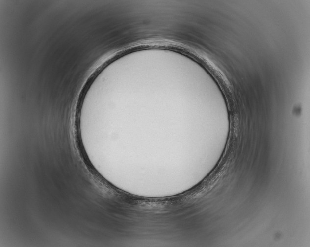 X0000116261229201001110946