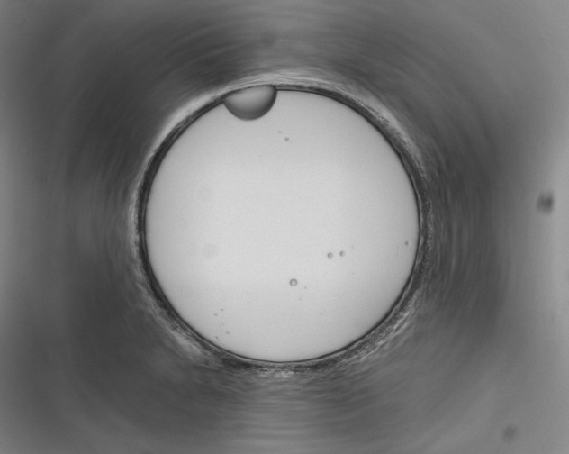 X0000116261230201001110947
