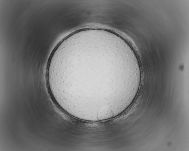 X0000116261231201001110947