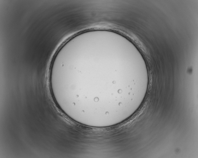 X0000116261232201001110947