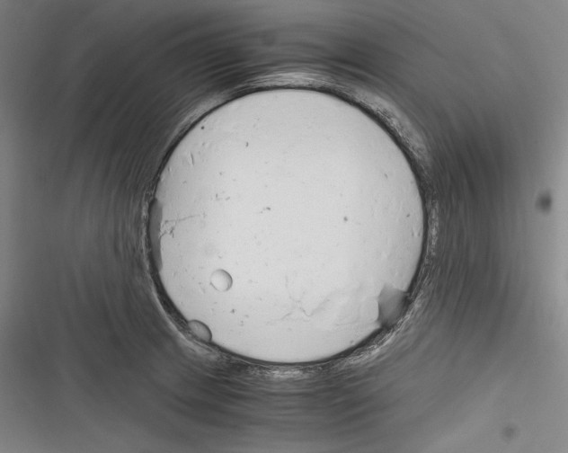 X0000116261233201001110947