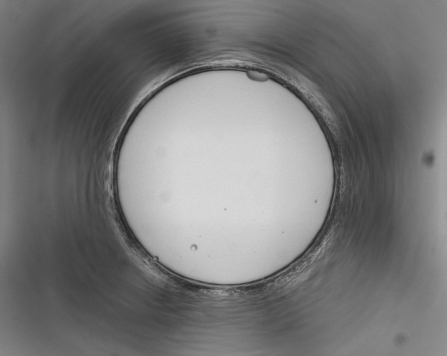 X0000116261234201001110947