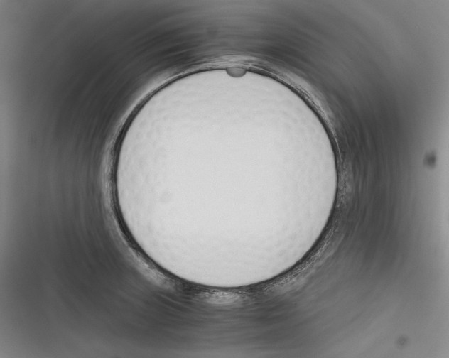X0000116261235201001110947