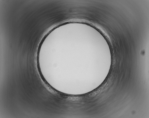 X0000116261237201001110947