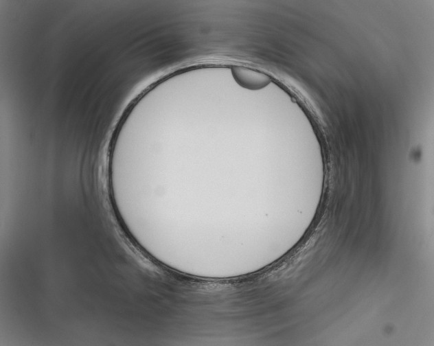X0000116261238201001110947