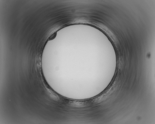 X0000116261241201001110947