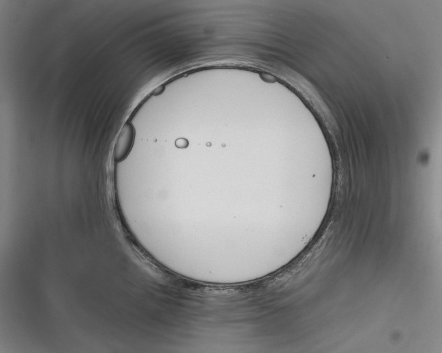 X0000116261242201001110947
