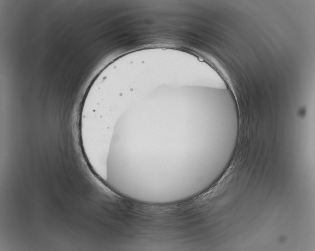X0000116261243201001110947