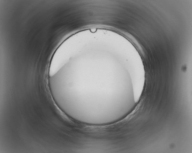 X0000116261244201001110947
