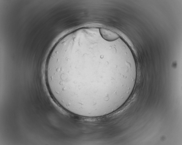 X0000116261245201001110947