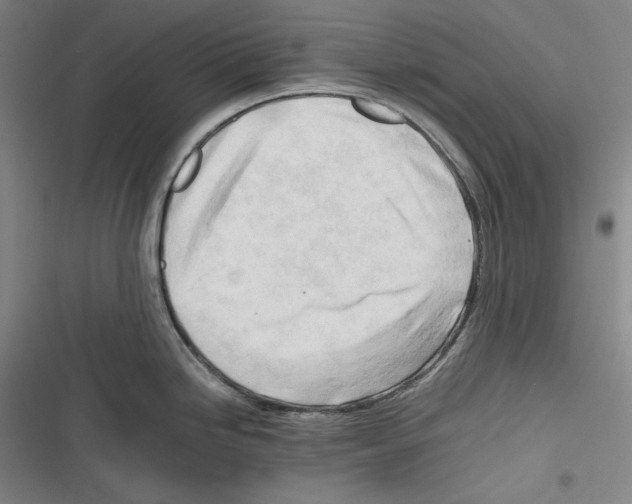 X0000116261246201001110947