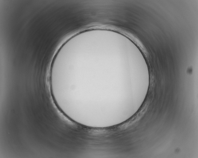 X0000116261247201001110947