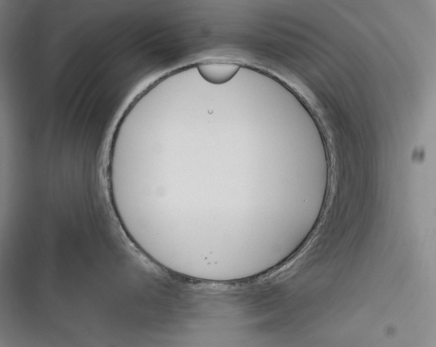 X0000116261248201001110947