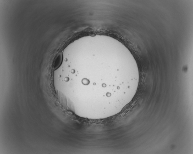 X0000116261249201001110946