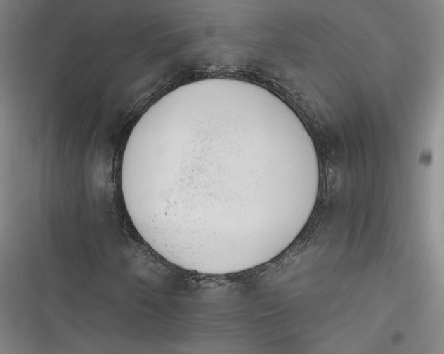 X0000116261250201001110946