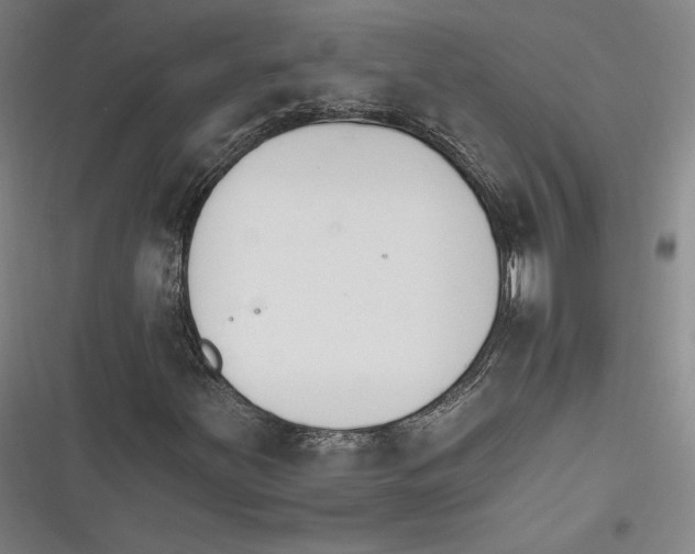 X0000116261251201001110946