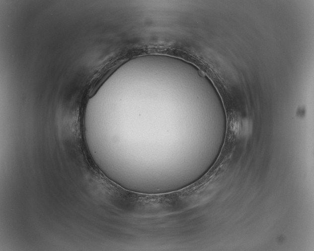 X0000116261252201001110946