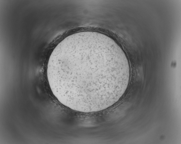 X0000116261254201001110946