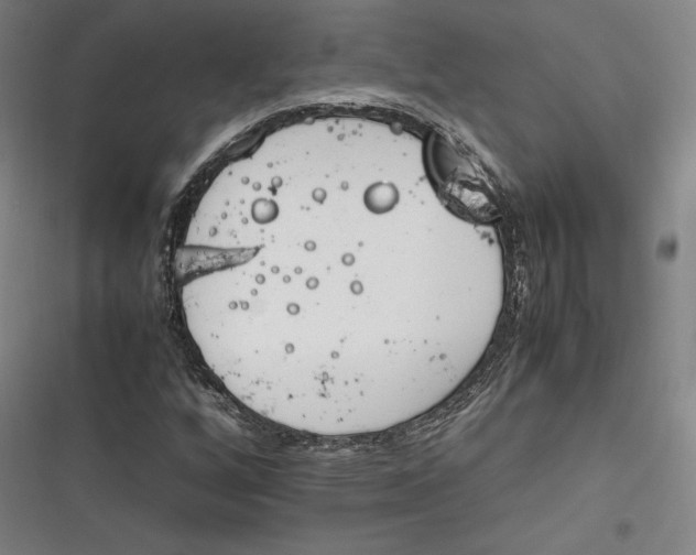 X0000116261256201001110946