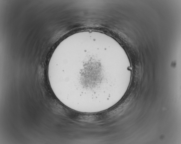 X0000116261257201001110946