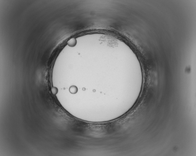 X0000116261258201001110946