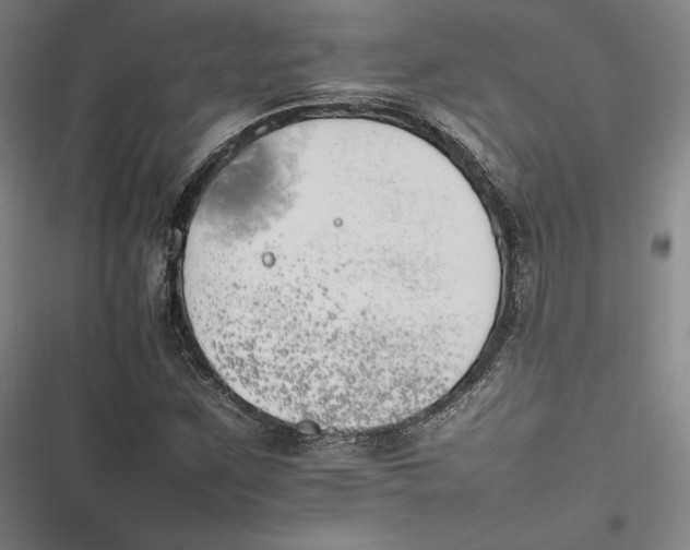 X0000116261259201001110946