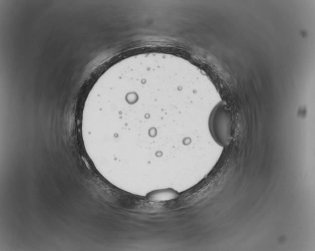 X0000116261261201001110946