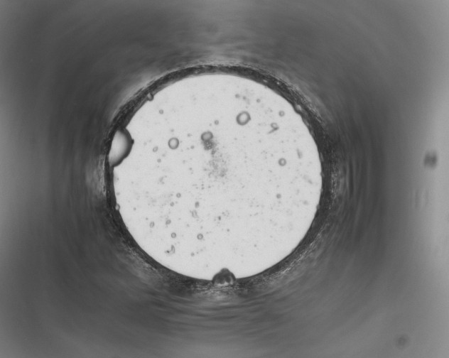 X0000116261262201001110946